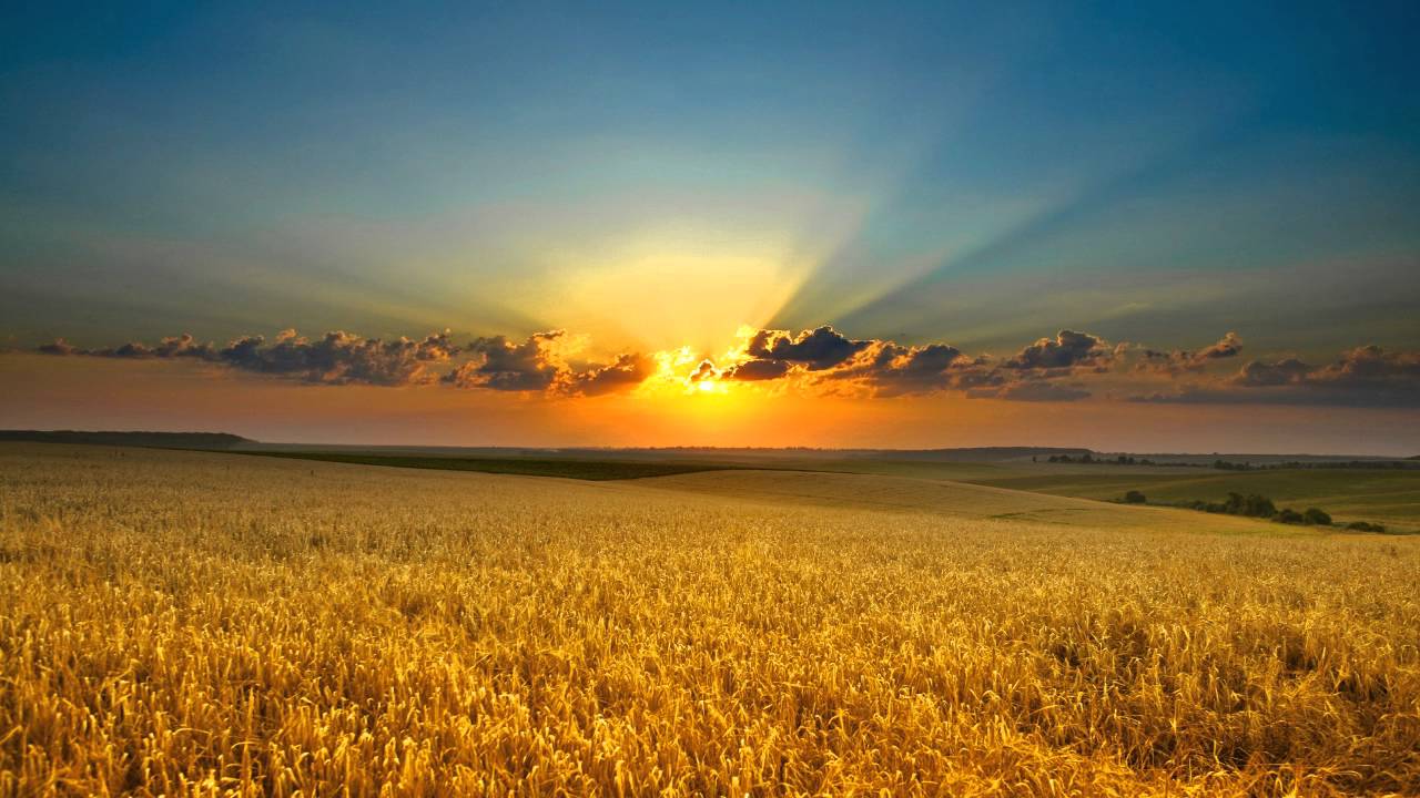 Faithless - Crazy English Summer (Remix)