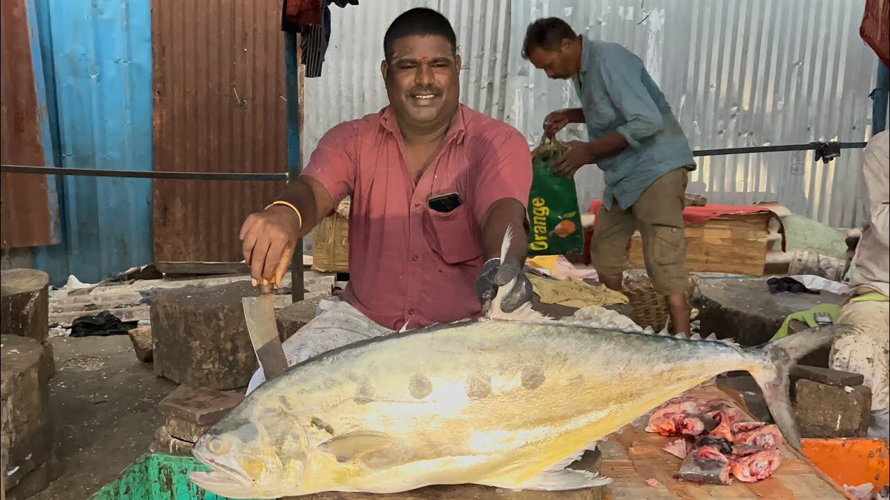 Paarai fish cutting videos Chennai Kasimedu fire cut Raja 