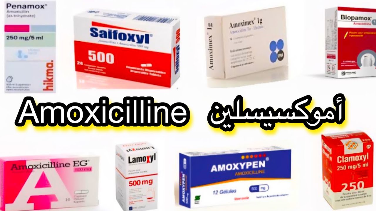 شرح بسيط و شامل Amoxicilline/أموكسيسيلين