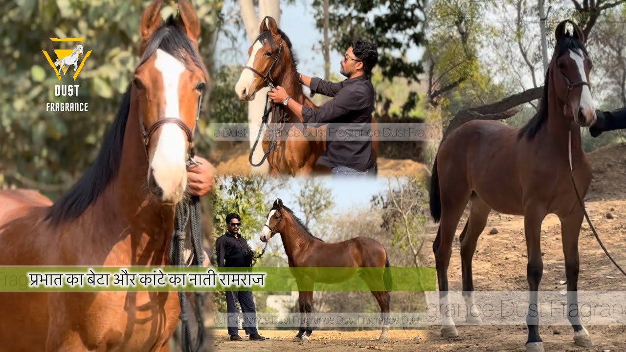 चेतन,त्रिकाल,पर्वत ओर पर्वतराज़  के बाद अब रेणागिरी आश्रम में आ गया रामराज 