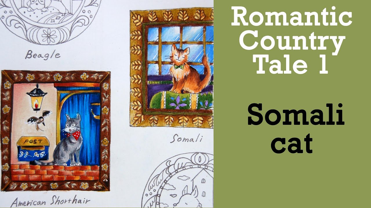 Somali CAT #Coloring in 'Romantic Country' by Eriy. #adultcoloring #prismacolor #раскрашиваю