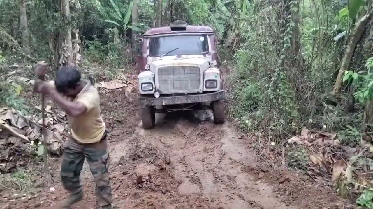 Road problem in the jungle😬