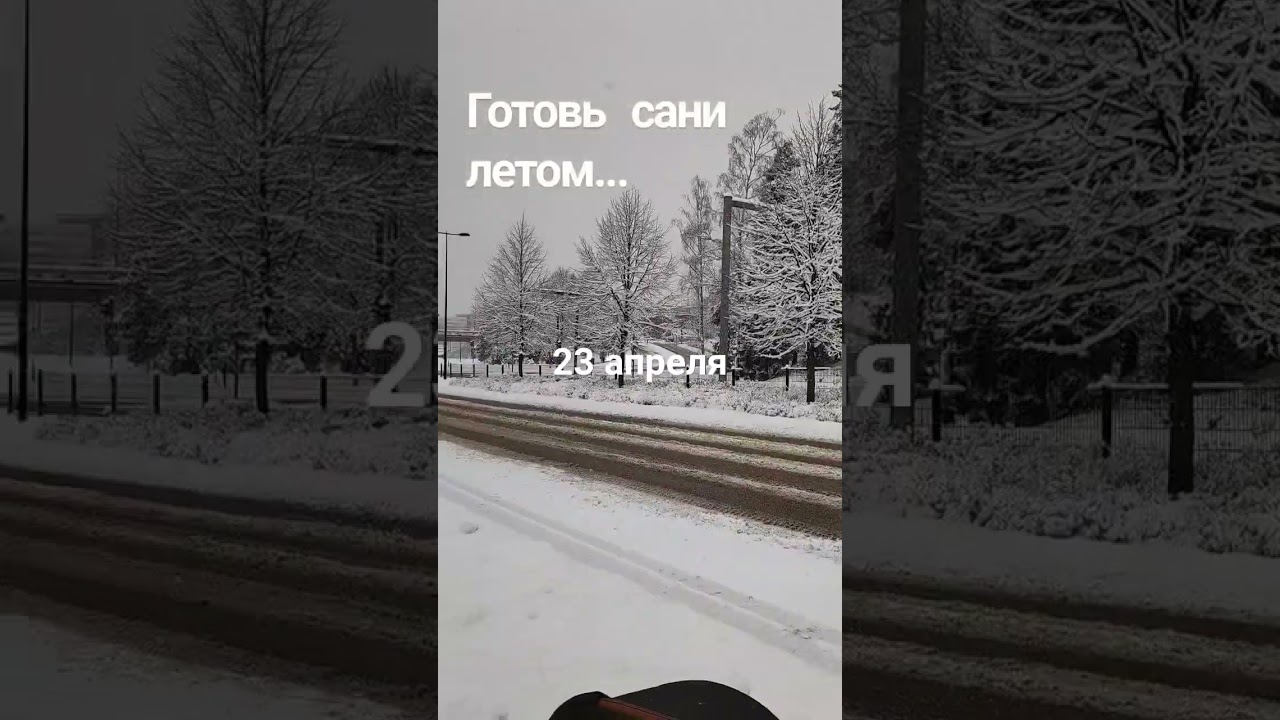 Апрельский снегопад #финляндия #эспоо #весна2024