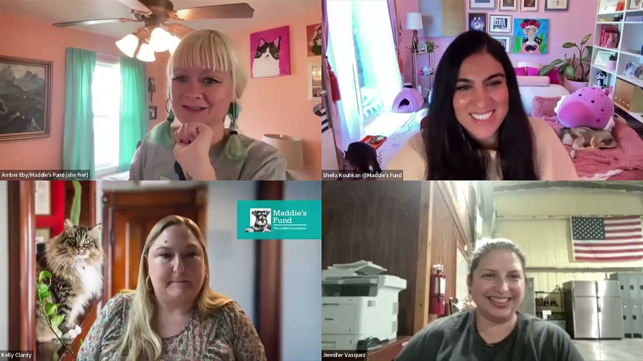 Community-Driven Recruitment and Retention – Maddie’s Community Conversations 11/17/25