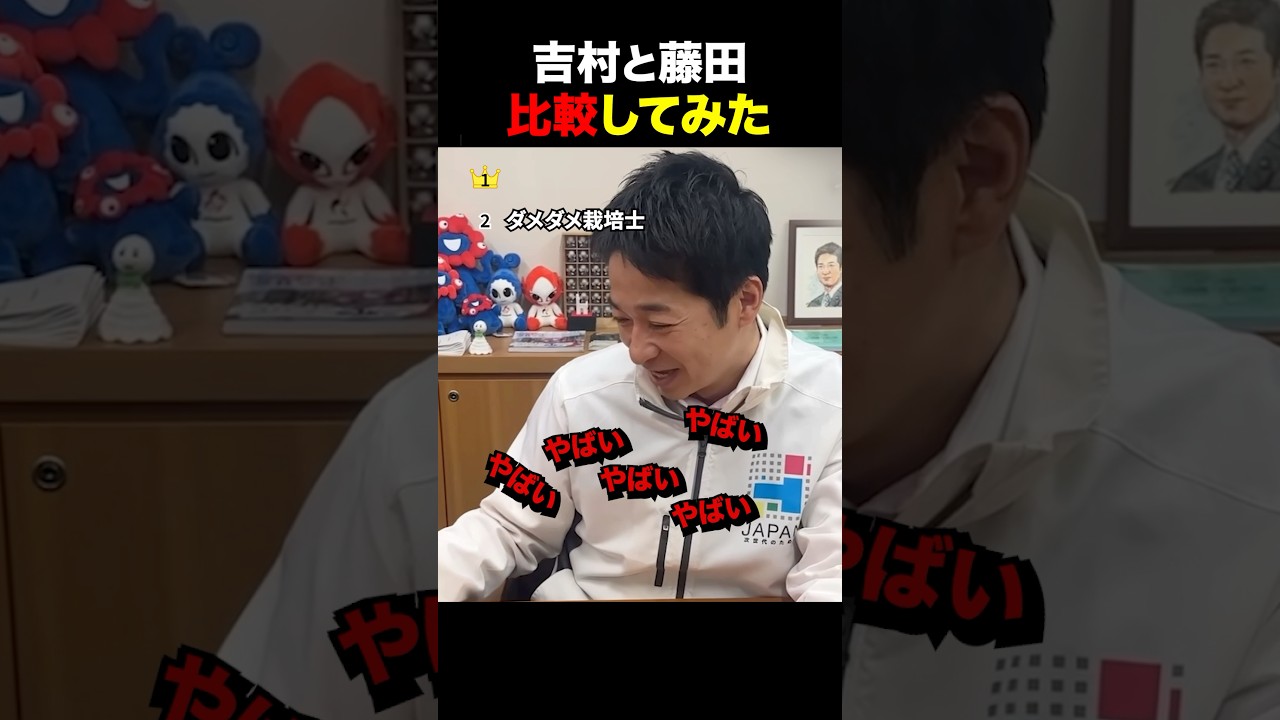 【比較】吉村と藤田比べてみたw #日本維新の会 #政治 #高市早苗