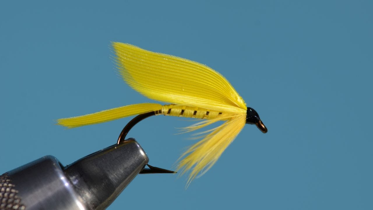 Yellow Sally Wet Fly  (Bergman) with Eric Austin