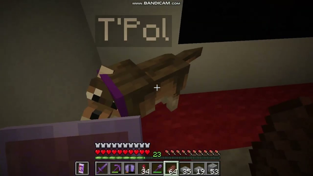 Newpire server tour