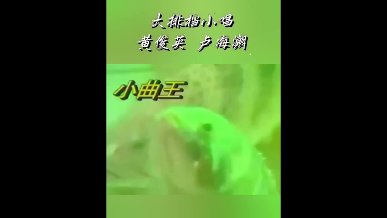 大排档小唱~黄俊英~卢海潮💖
