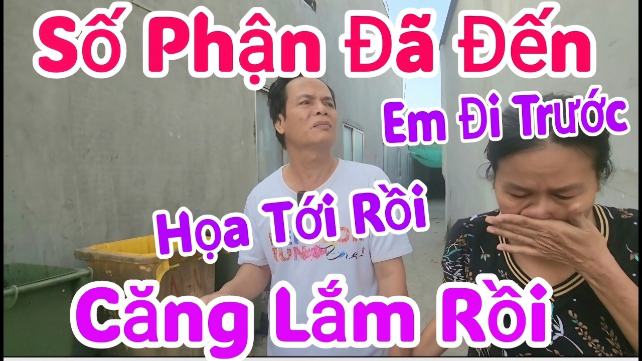 Sự Thật Không Tưởng Tượng Vợ Chồng Đang Yên Ổn Hoạ Ập Đến / Thuận Phạm