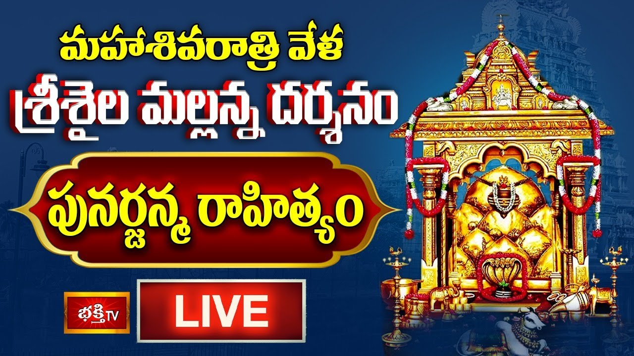 Srisailam Temple LIVE : 2025 మహాశివరాత్రి వేళ శ్రీశైలం భ్రమరాంబ మల్లికార్జున స్వామి అమ్మవార్ల దర్శనం