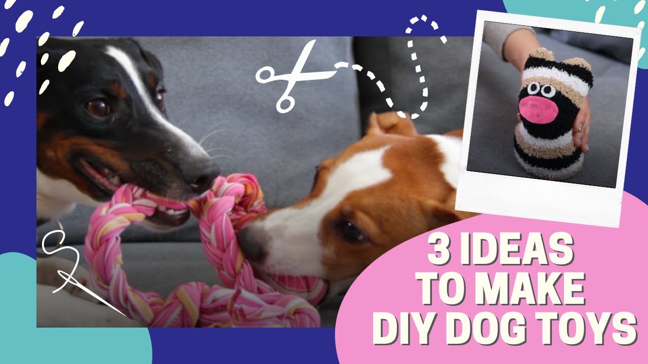 3 Easy and Cheap DIY Dog Toys || Made From Socks & Old Clothes