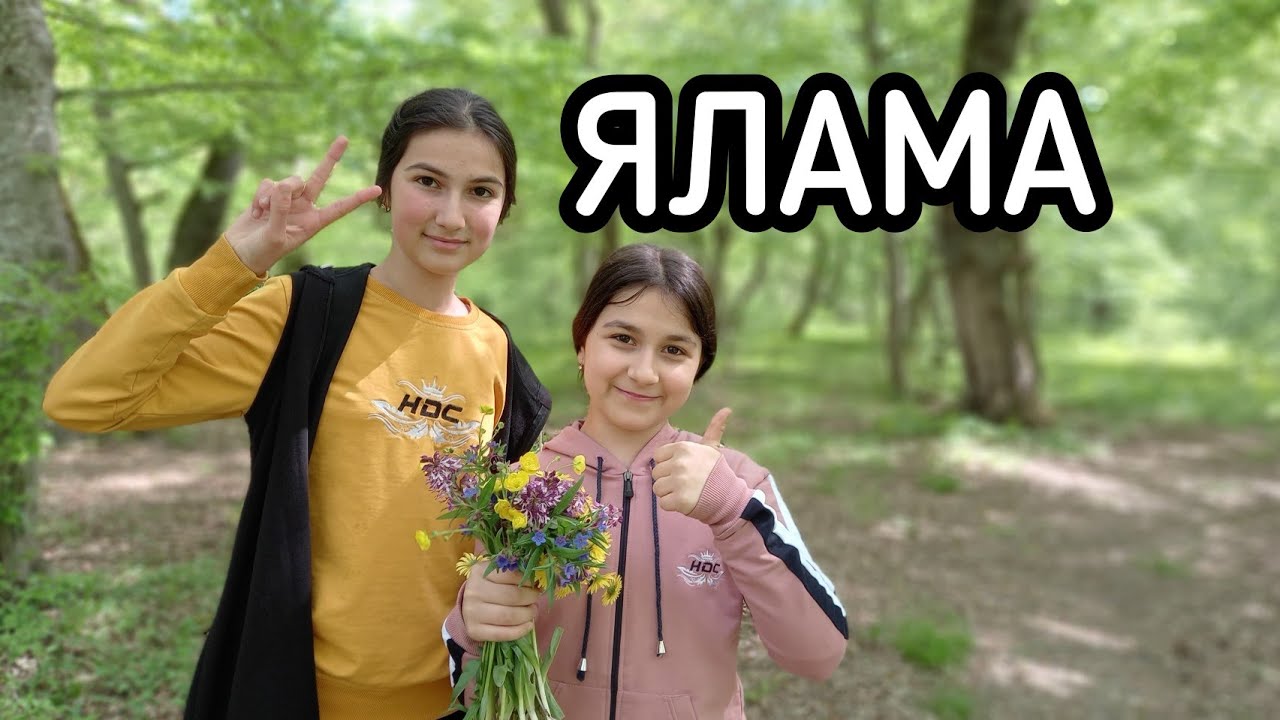 Ждали 2-ую часть? Экскурсия по Яламе в лесу