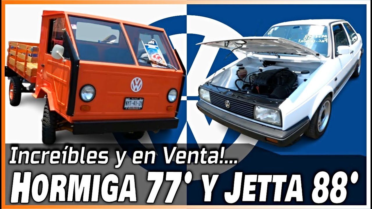 VW HORMIGA 1977 en Venta! y JETTA GLS 1988 en Venta en el VagenFest 2023 Volkswaguen | Bazar CDMX
