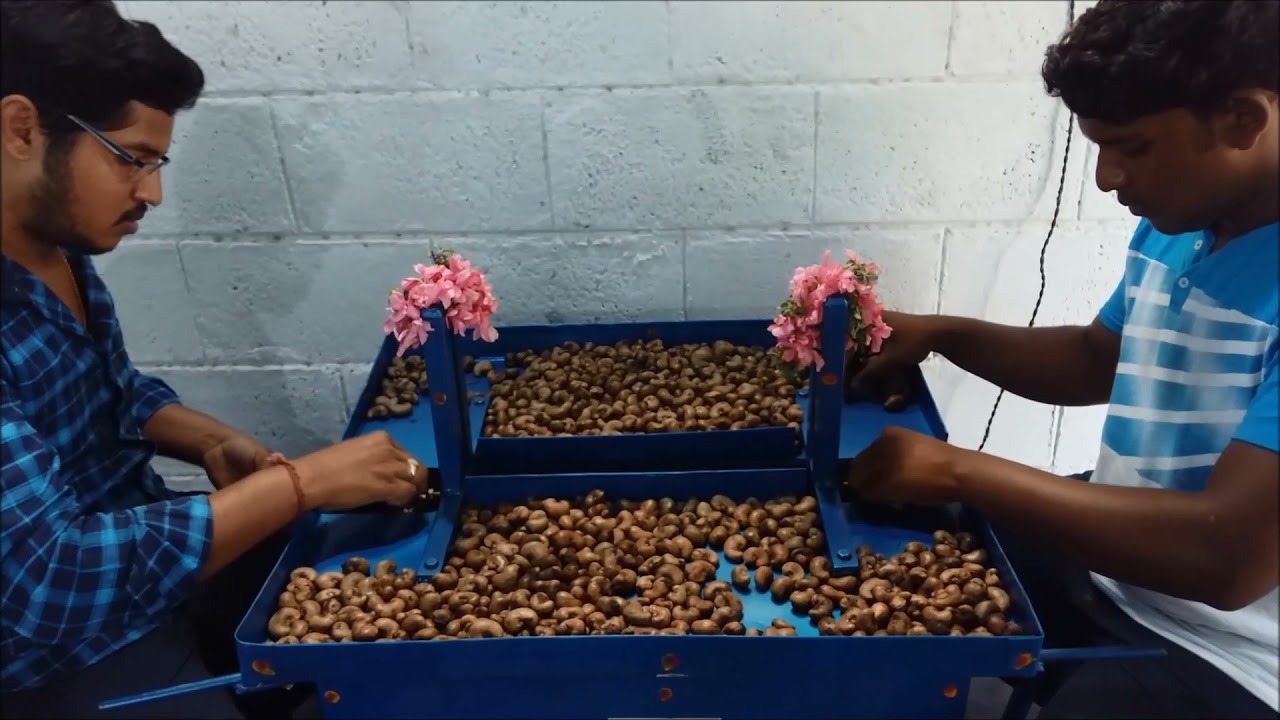 Cashew Shelling Machine Semi Automatic