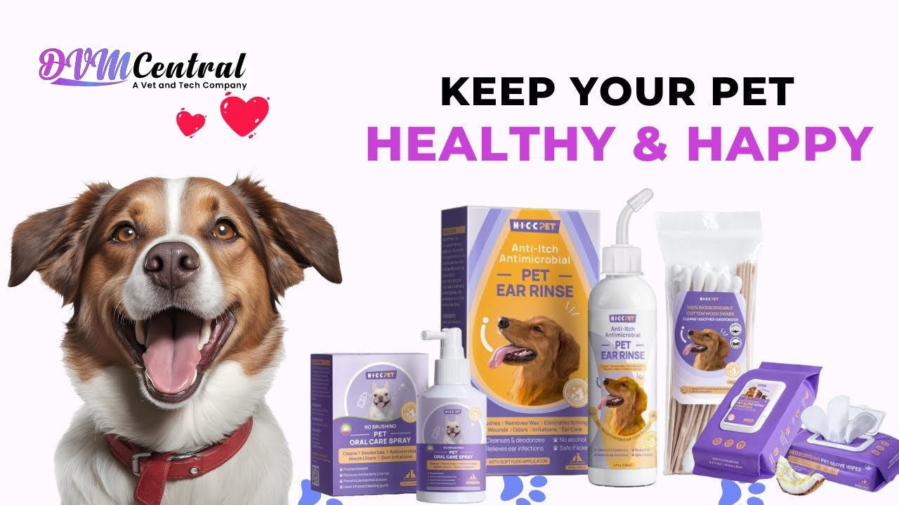 Product Demonstration | HICC Pet | DVM Central Summer Expo