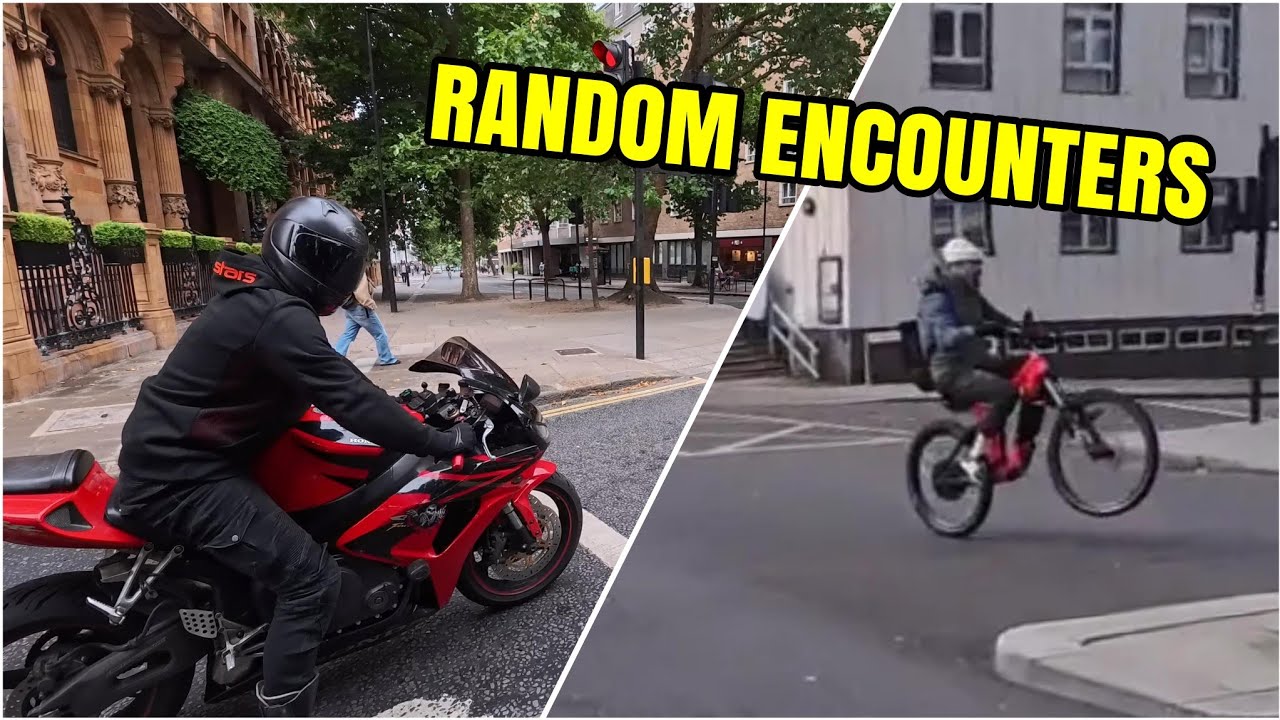 Wheelie Squad в доме — случайные встречи