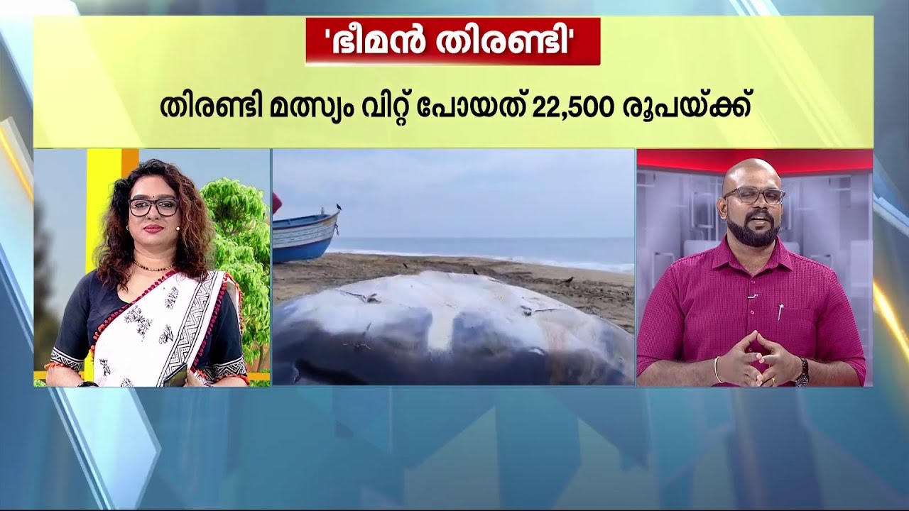 വമ്പൻ സെയിൽ! തിരുവനന്തപുരത്ത് തിരണ്ടി മീൻ വിറ്റത് 22000 രൂപയ്ക്ക് !! | Fish Sale