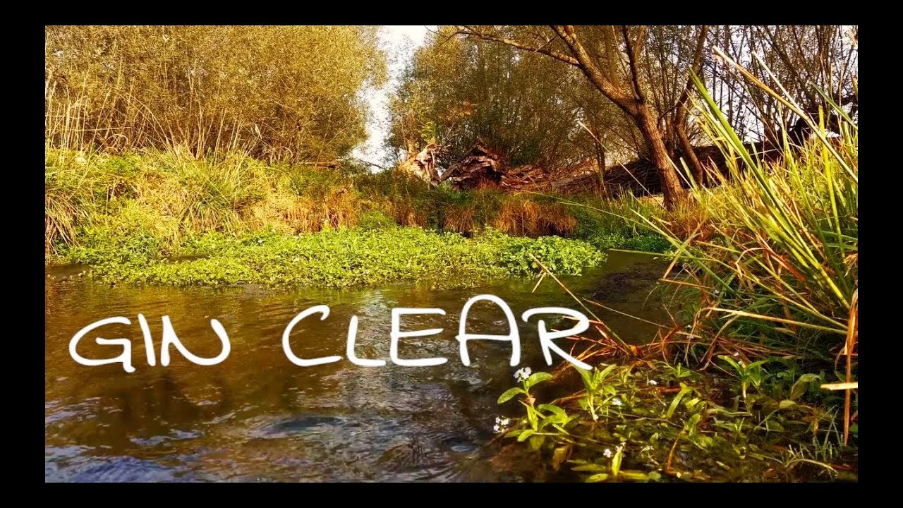 GIN CLEAR - Fly Fishing in Clear Summer Water (How to)