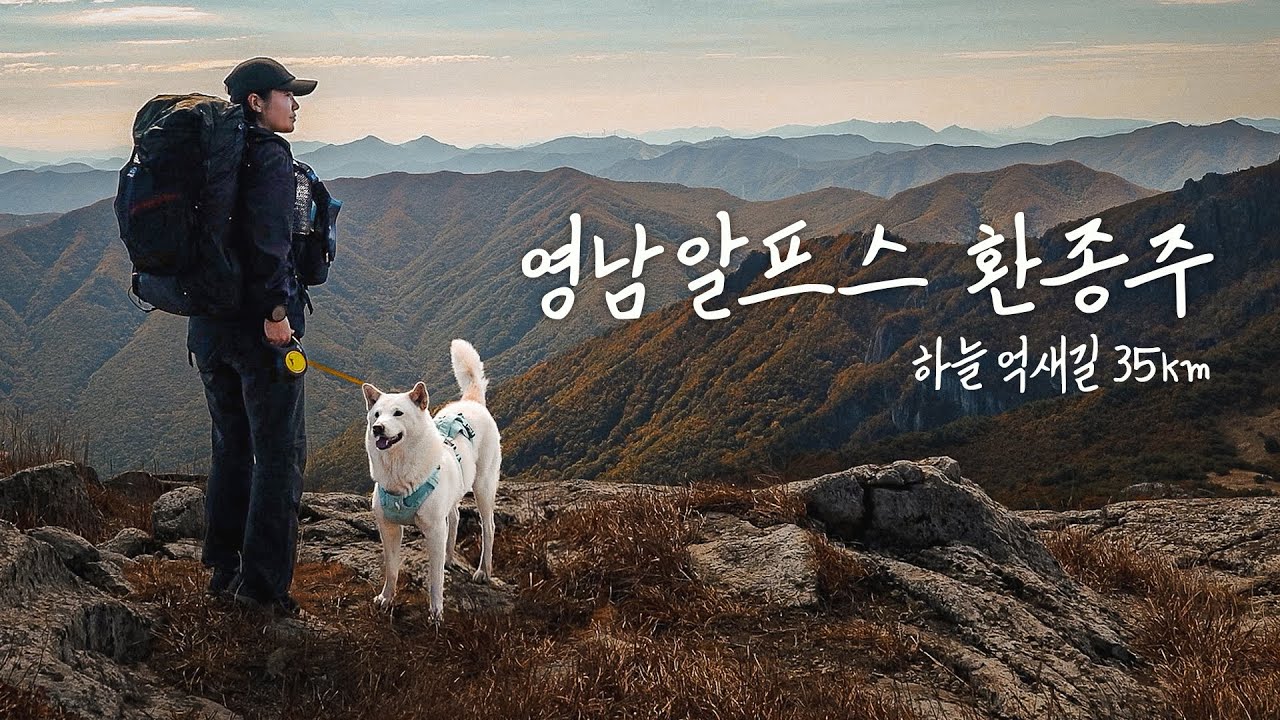 반려견과 영남알프스 환종주 1박2일 35km  ㅣ영남알프스 하늘억새길ㅣ진돗개 백패킹