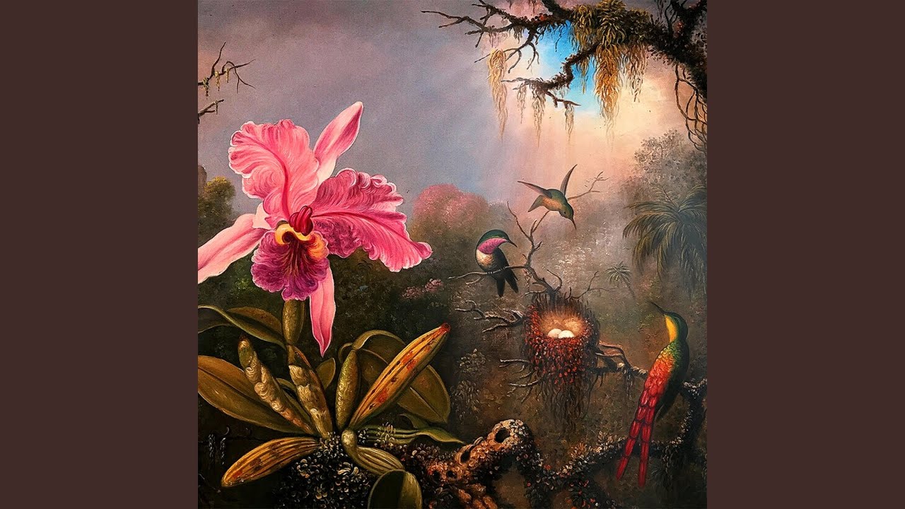 Orqu&iacute;deas