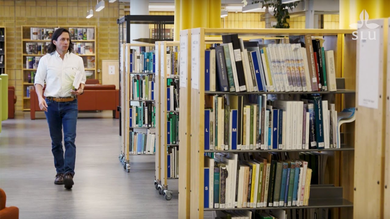 Francisco X Aguilar &ndash; professor of forest economics at SLU