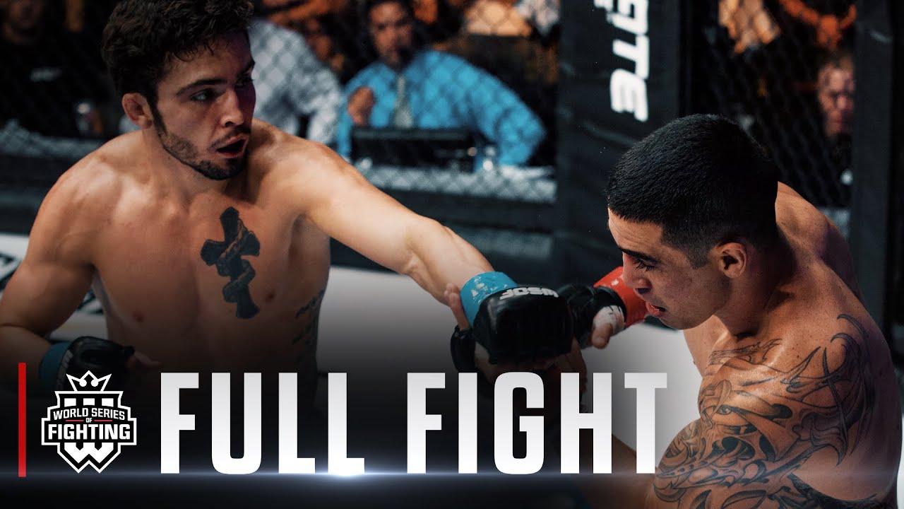 Мэтт Сэйлс против Брайсона Хансена | WSOF 12, 2014