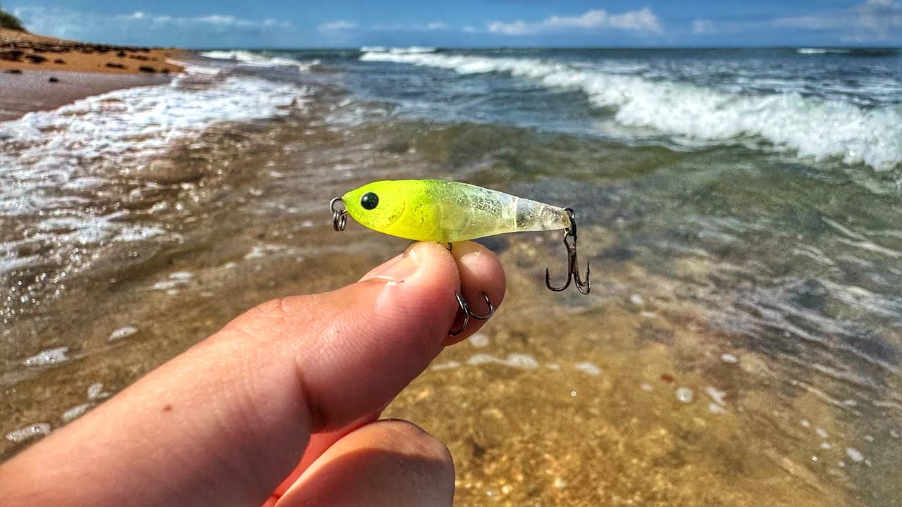 Pesca com MICRO ISCA na BEIRA DA PRAIA nunca falha!!! 