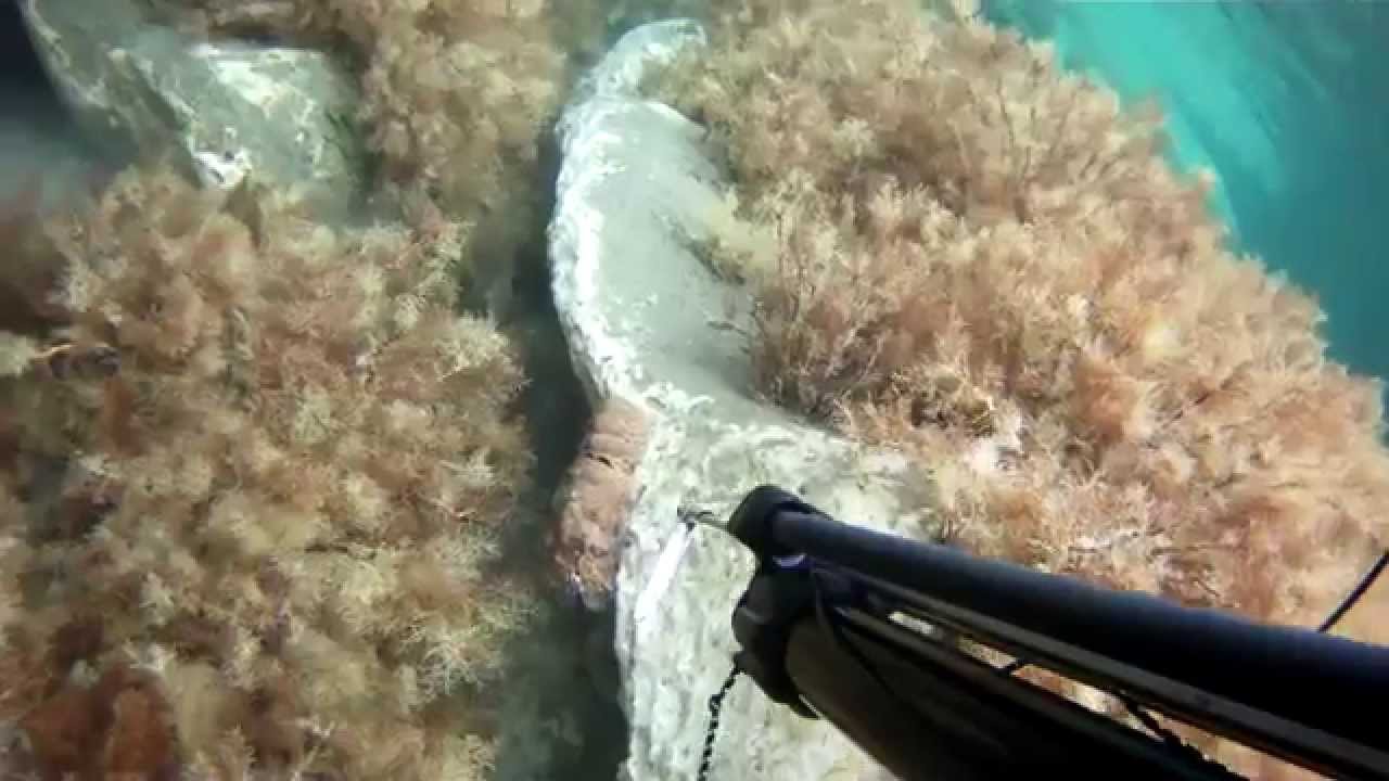 &Psi;&alpha;&rho;&omicron;&nu;&tau;&omicron;&upsilon;&phi;&epsilon;&kappa;&omicron; &Nu;&omicron; 2, Psarontoufeko No 2 , Spearfishing No 2
