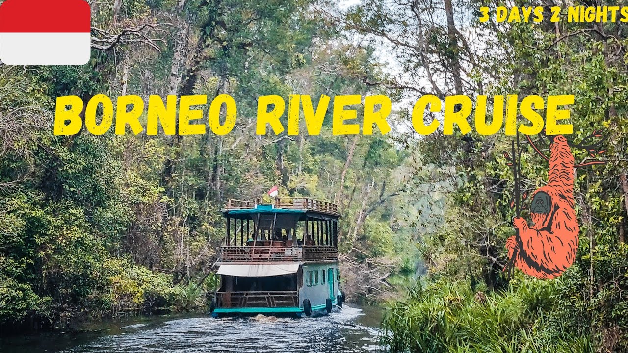 3 day Borneo River Cruise in Tanjung Puting National Park | Orangutan Adventure [4K]