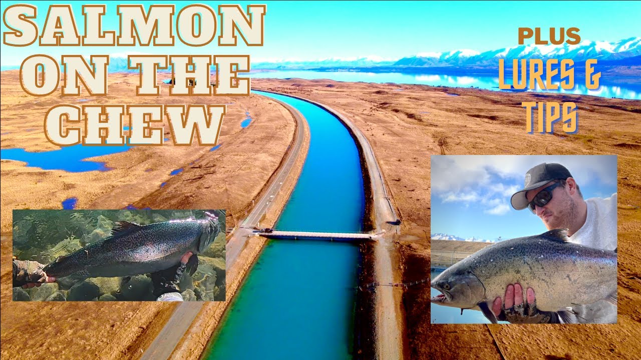 Twizel Canal Fishing 2022 - Winter Salmon Fishing at its best! PLUS Lures & Tips