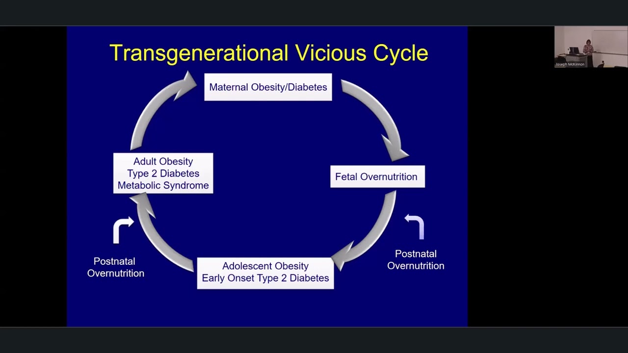 Associate Dean for Research Candidate Talk: Dana Dabelea Presentation 4 4 24