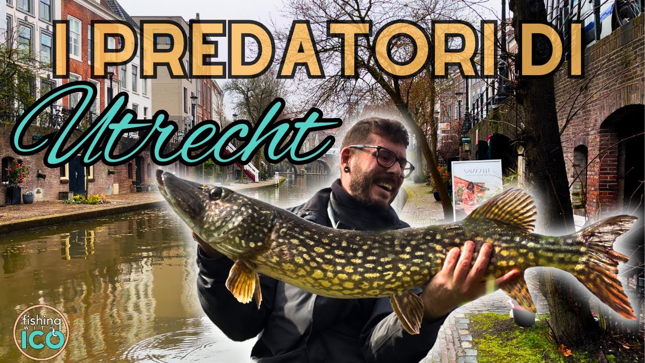 VOLO in OLANDA alla RICERCA di PESCI PREDATORI! STREET FISHING in UTRECHT (4K)