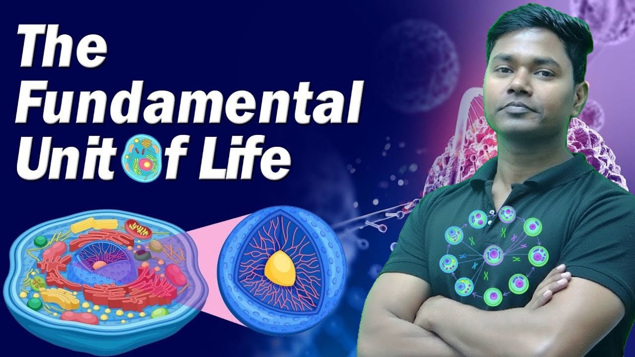 Cell Division Class 9 Biology | Chapter 5 Full Explanation by AMIT SIR #cbse #biology #class9