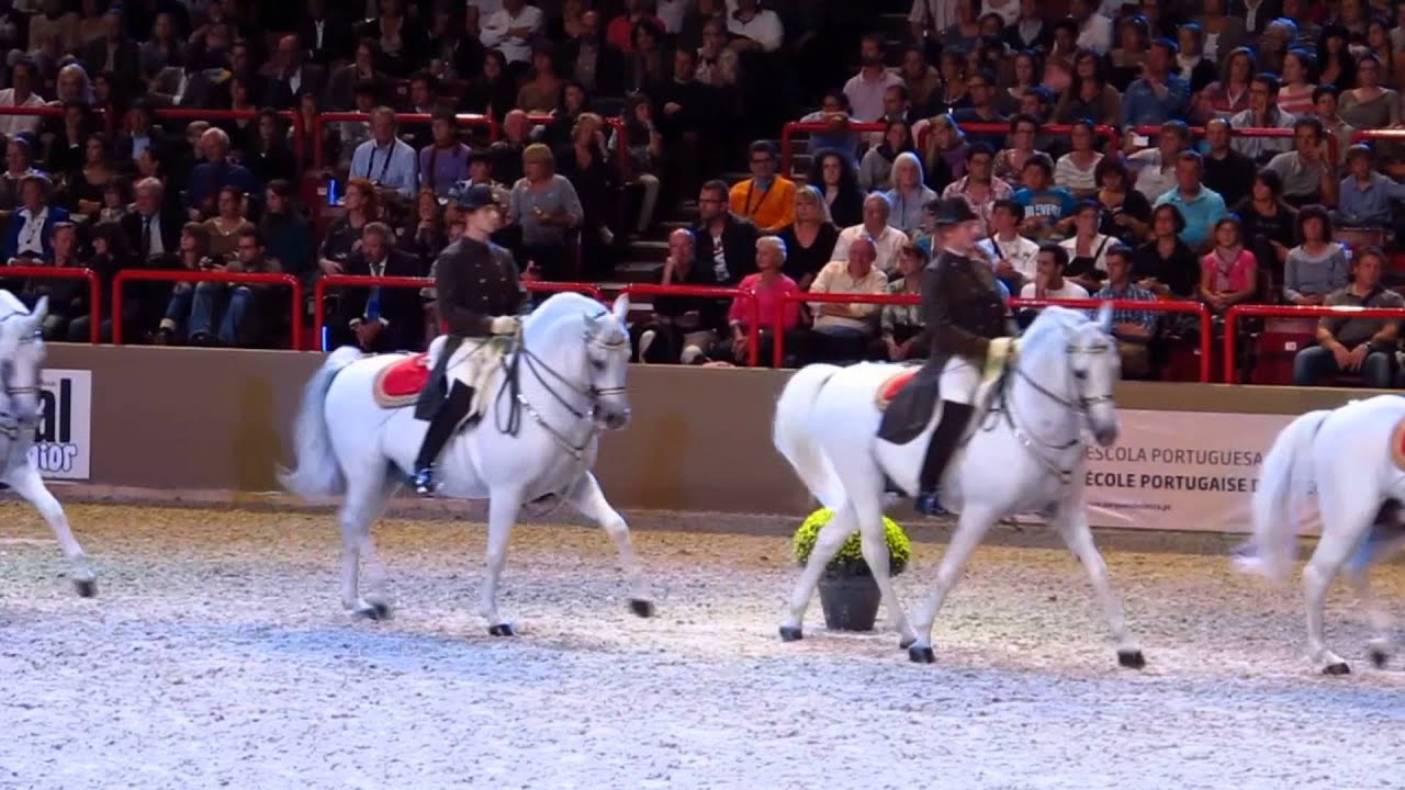 Les 4 écoles d'Art Equestre  2012