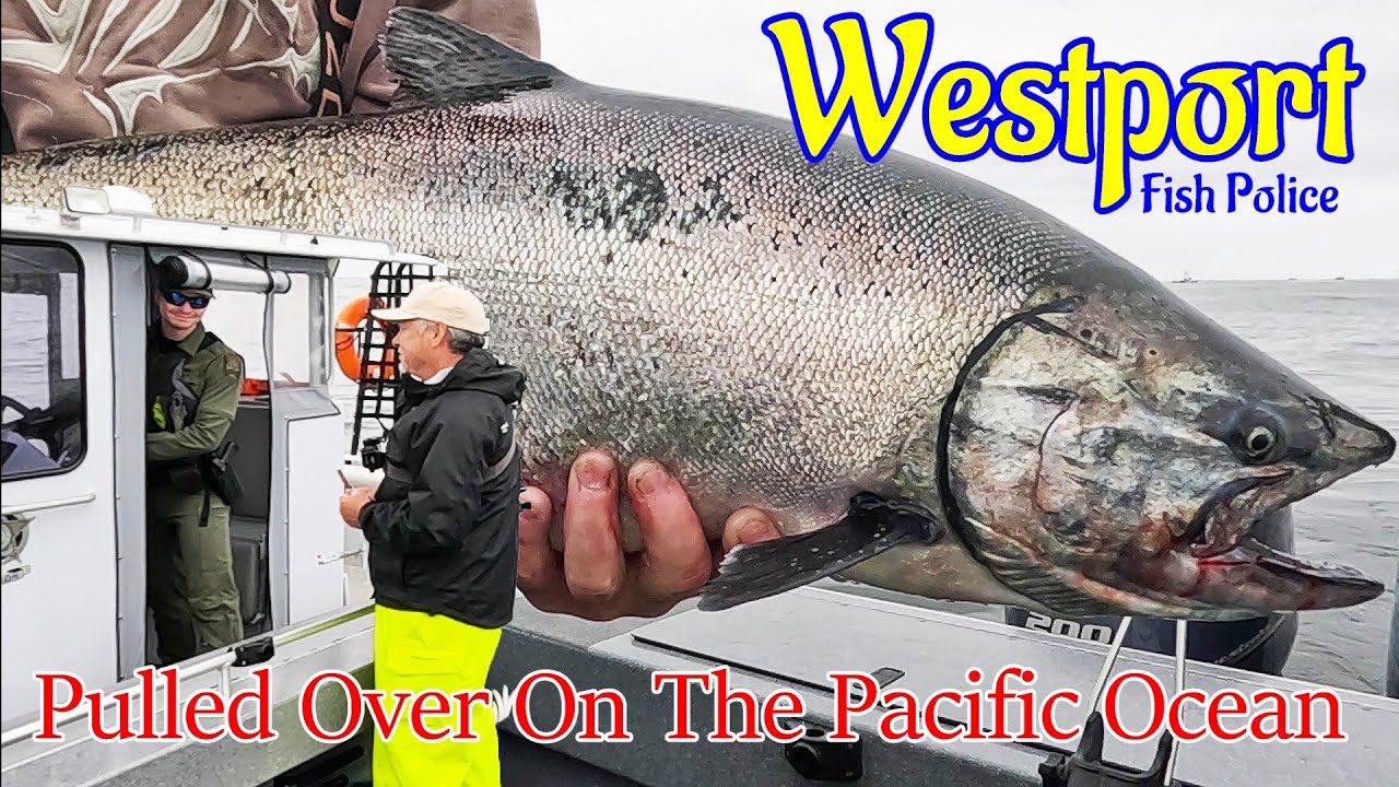 Had Words With Police While King Salmon Fishing Out Of Westport