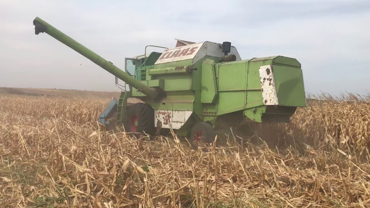 CLAAS Dominator 96 | Porumb 2019
