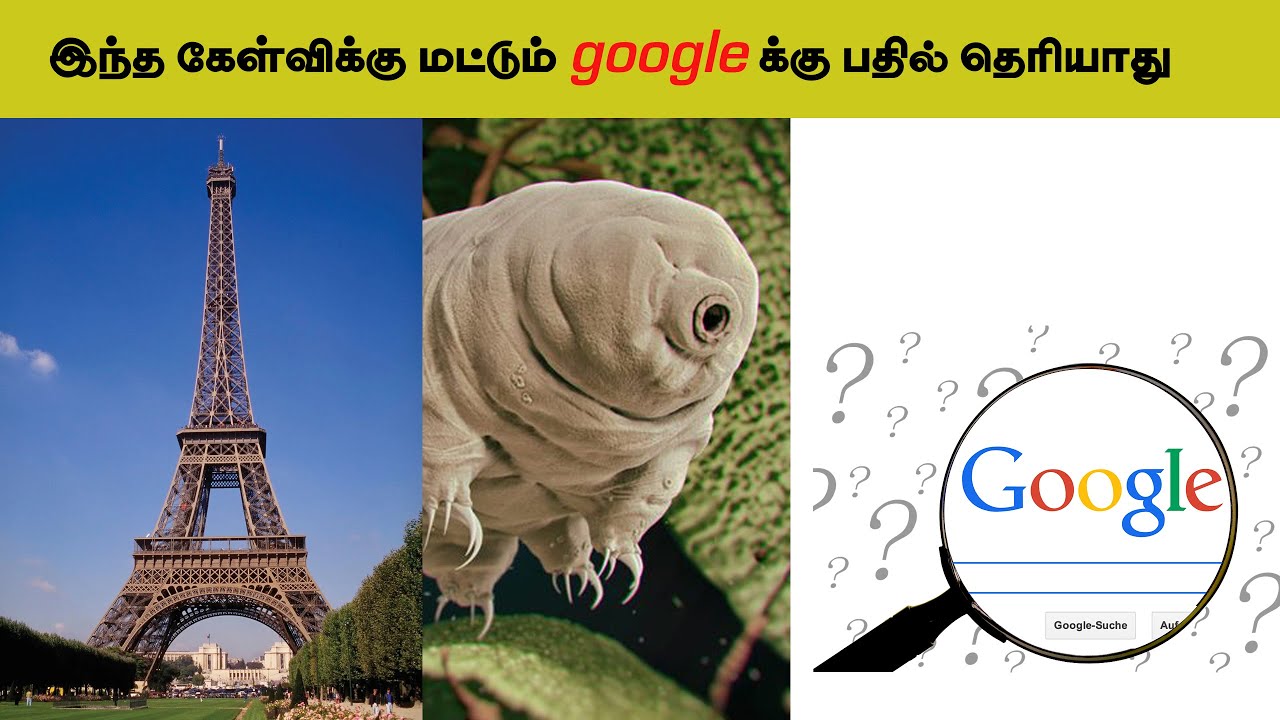 facts 3 intresting facts some things you may not know |mrtamilmedia
