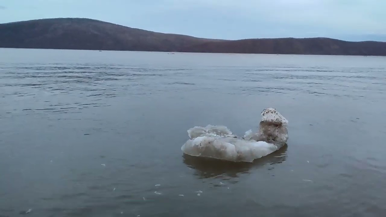 24.04.2025 Сборник#4 Ледоход Третий день на реке Амур в Комсомольске-на-Амуре Хабаровского края