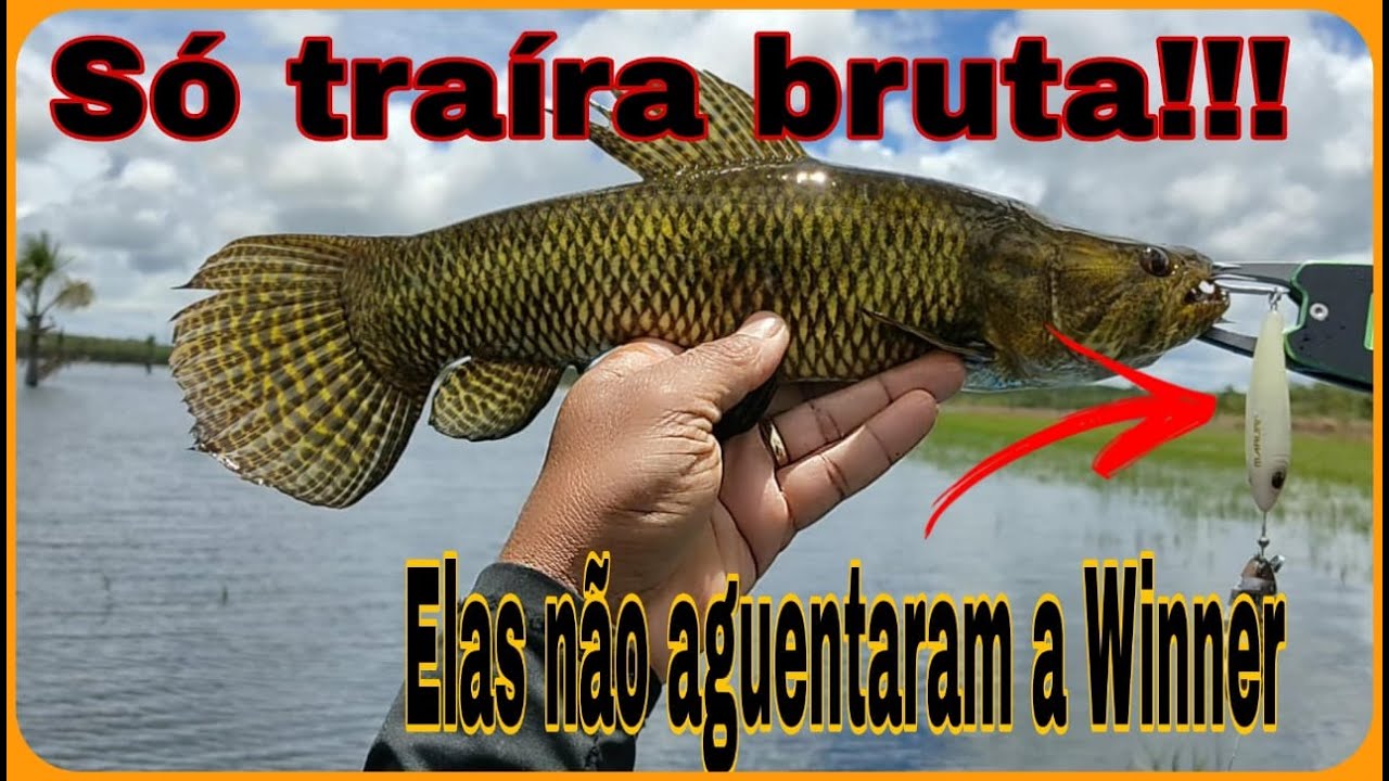 Pescaria de traíra!