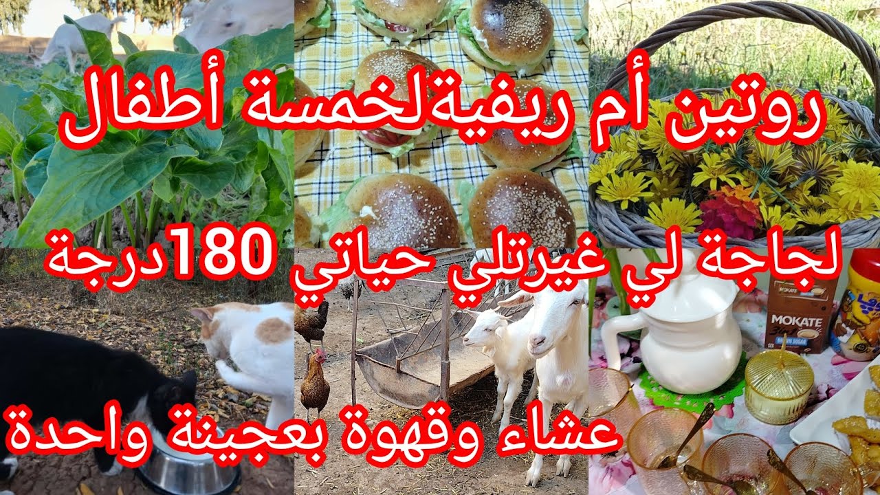 #تغير_لحياة_أفضل🥰روتين مسائي ريفي معمر طاقة إجابية👍حياة الريف الجميلة😍