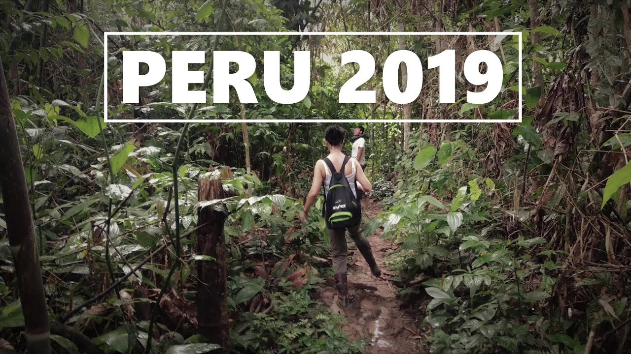 Peru 2019 - dżungla Puerto Maldonado / Machu Picchu / Cuzco / Paracas / Huacachina / Nazca