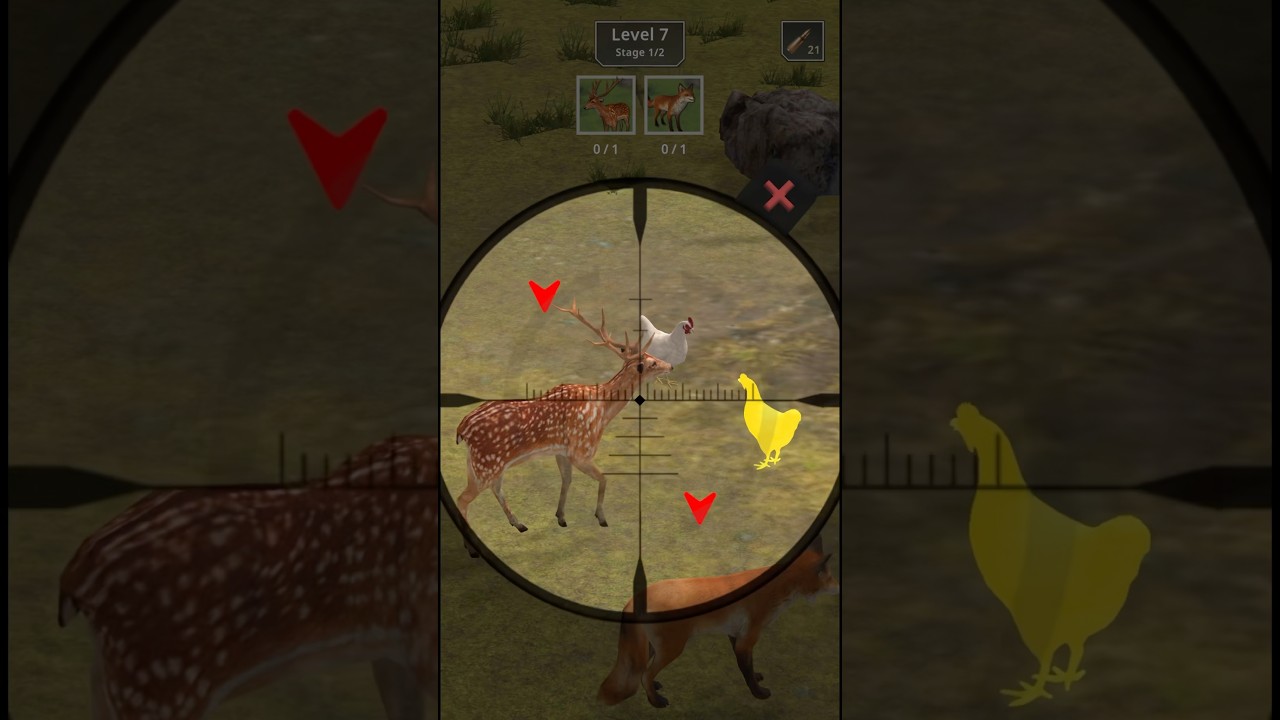 Hunt 