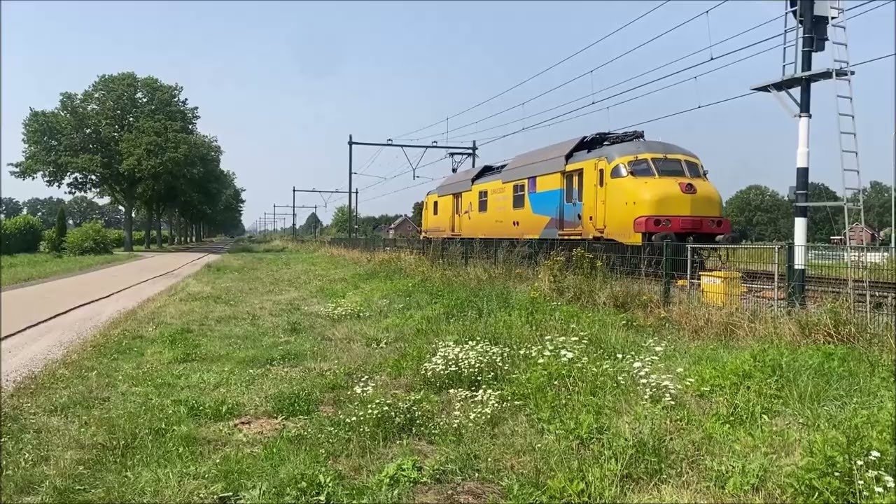 Spotting August -  October 2025