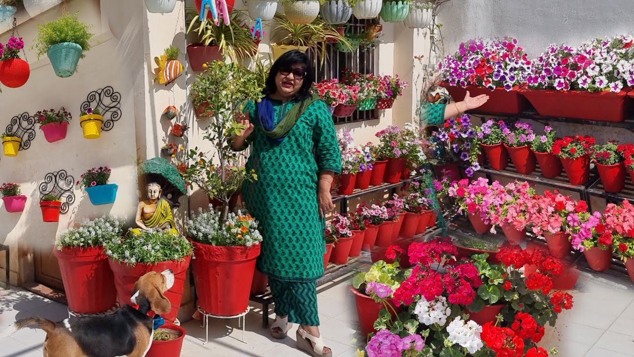 WINTER GARDEN OVERVIEW 2022 || MUCH AWAITED - UNLIMITED FLOWERS