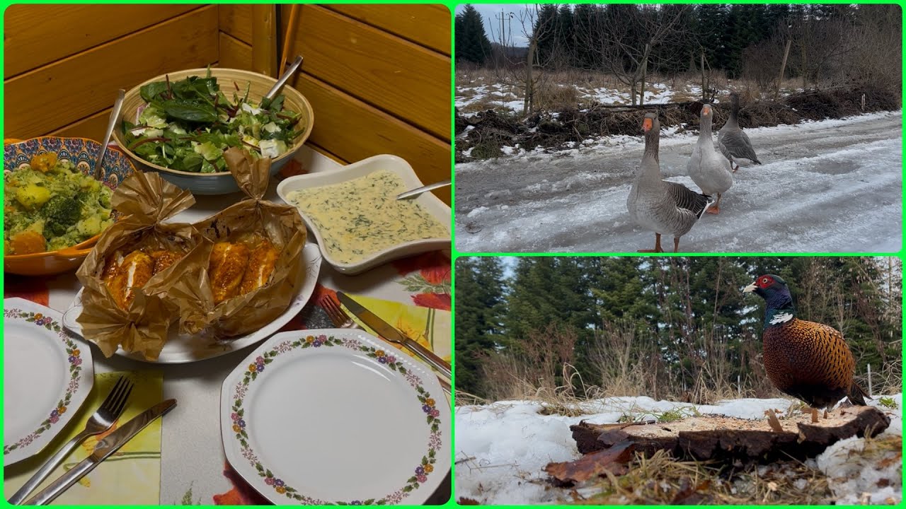 Готовим рыбу на даче😋/ зимняя красота #shortvideo #дача #еда #рецепт #видео #snow #love #food #love 