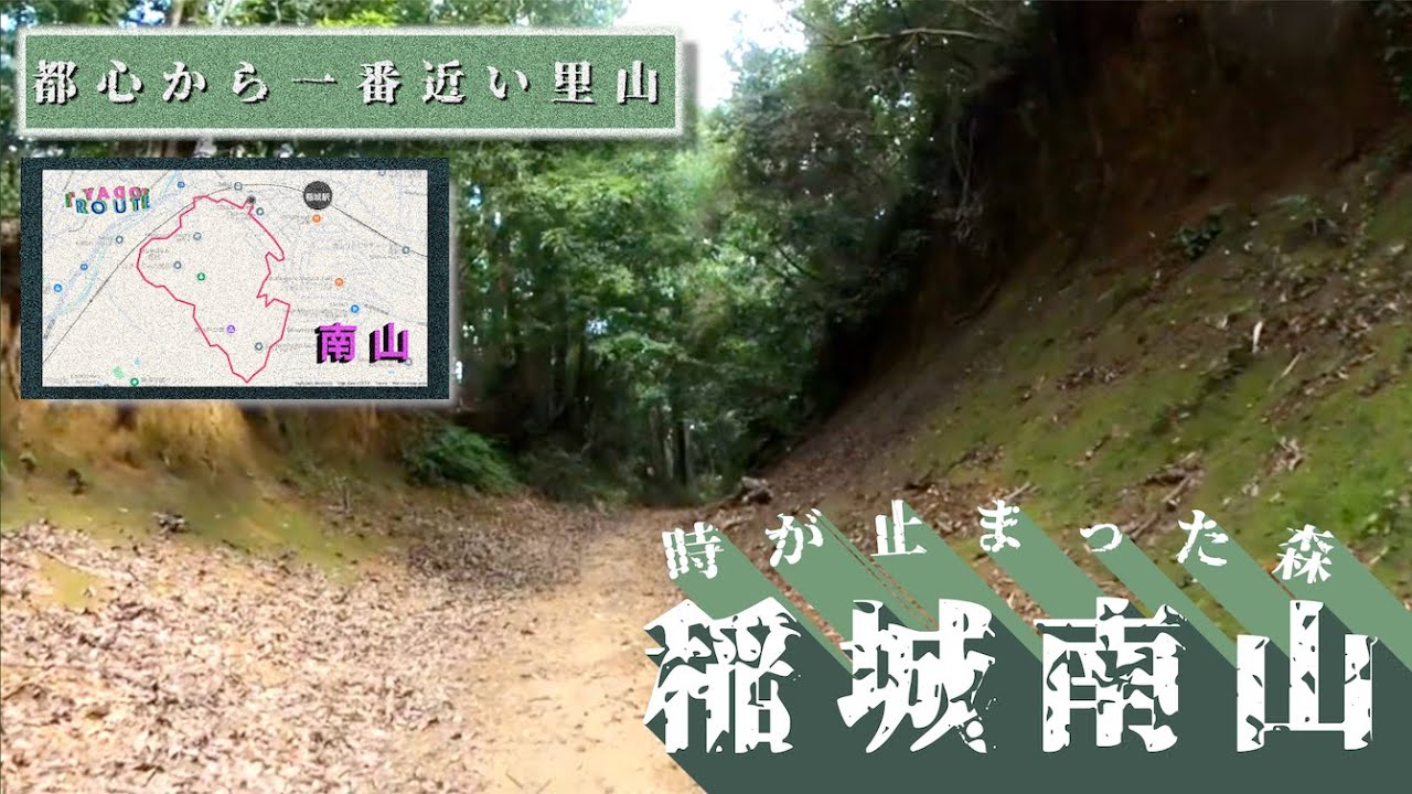 ♬337【稲城南山探訪】多摩丘陵の南山に残された里山エリアを探訪【TokyoCycling】