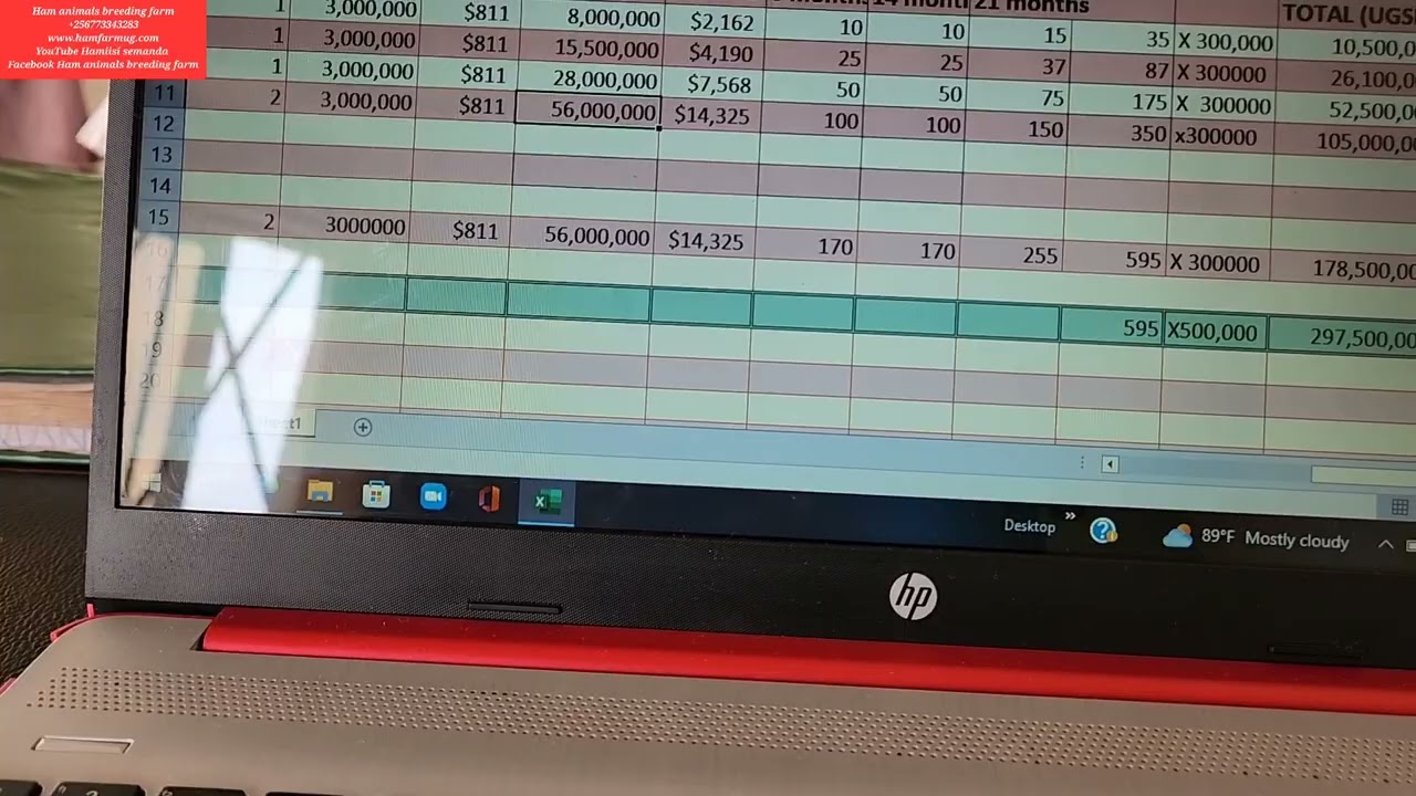 How 100 goats can give u 297,500,000 as profit in 2 years ( project projection)profitability