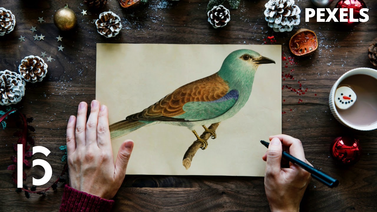 10 Best Stock Photos - PEXELS #03