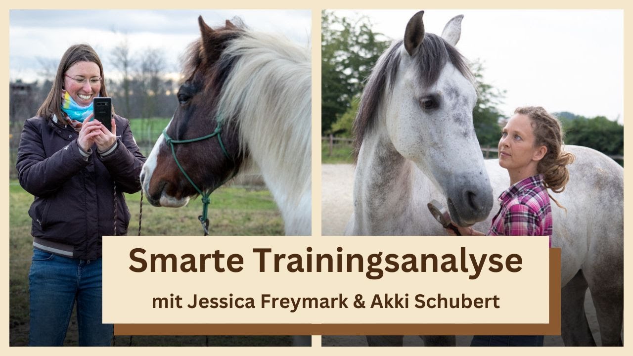 Trainingsplan erstellen & Veränderungen deines Pferdes auf Handyfotos festhalten