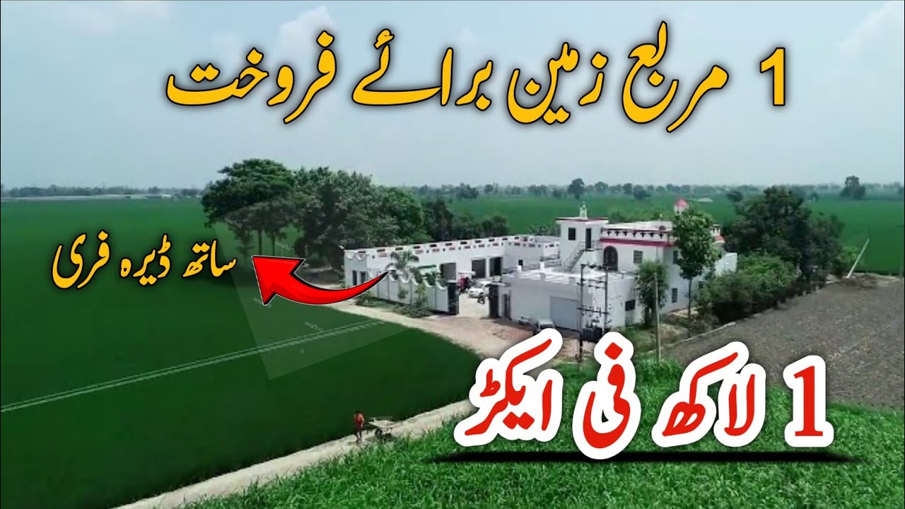 land for sale in Punjab Pakistan | agriculture land for sale in Punjab Pakistan